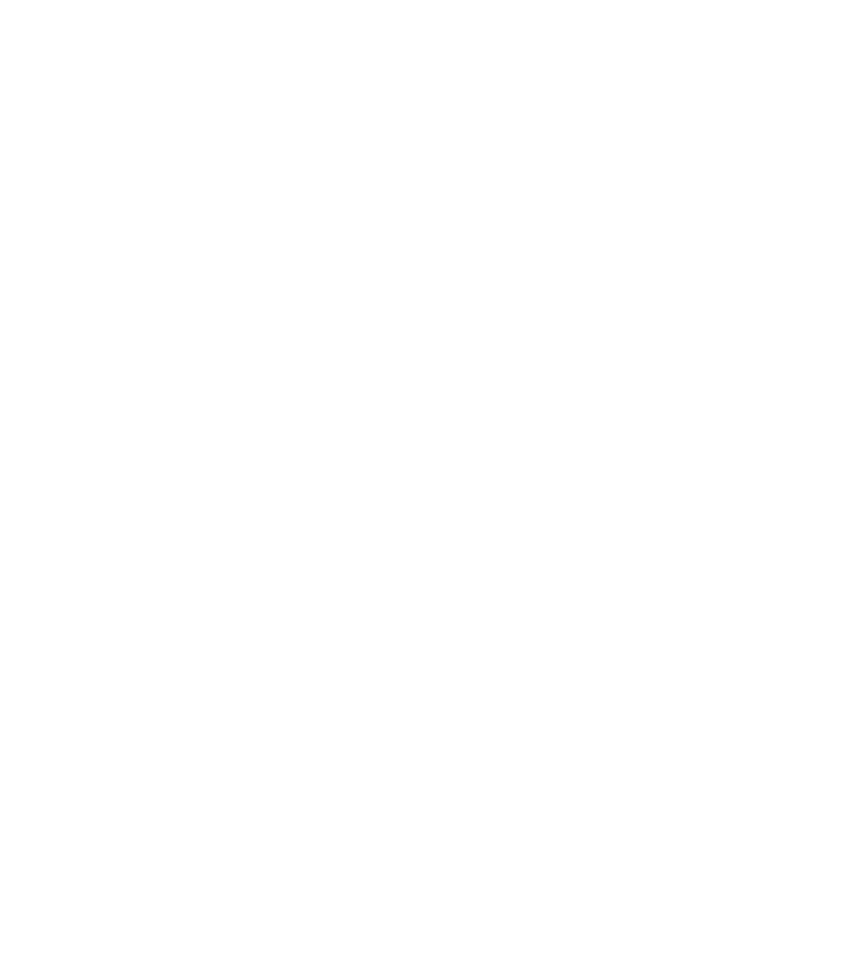 AmiwoIcons_w_automatic