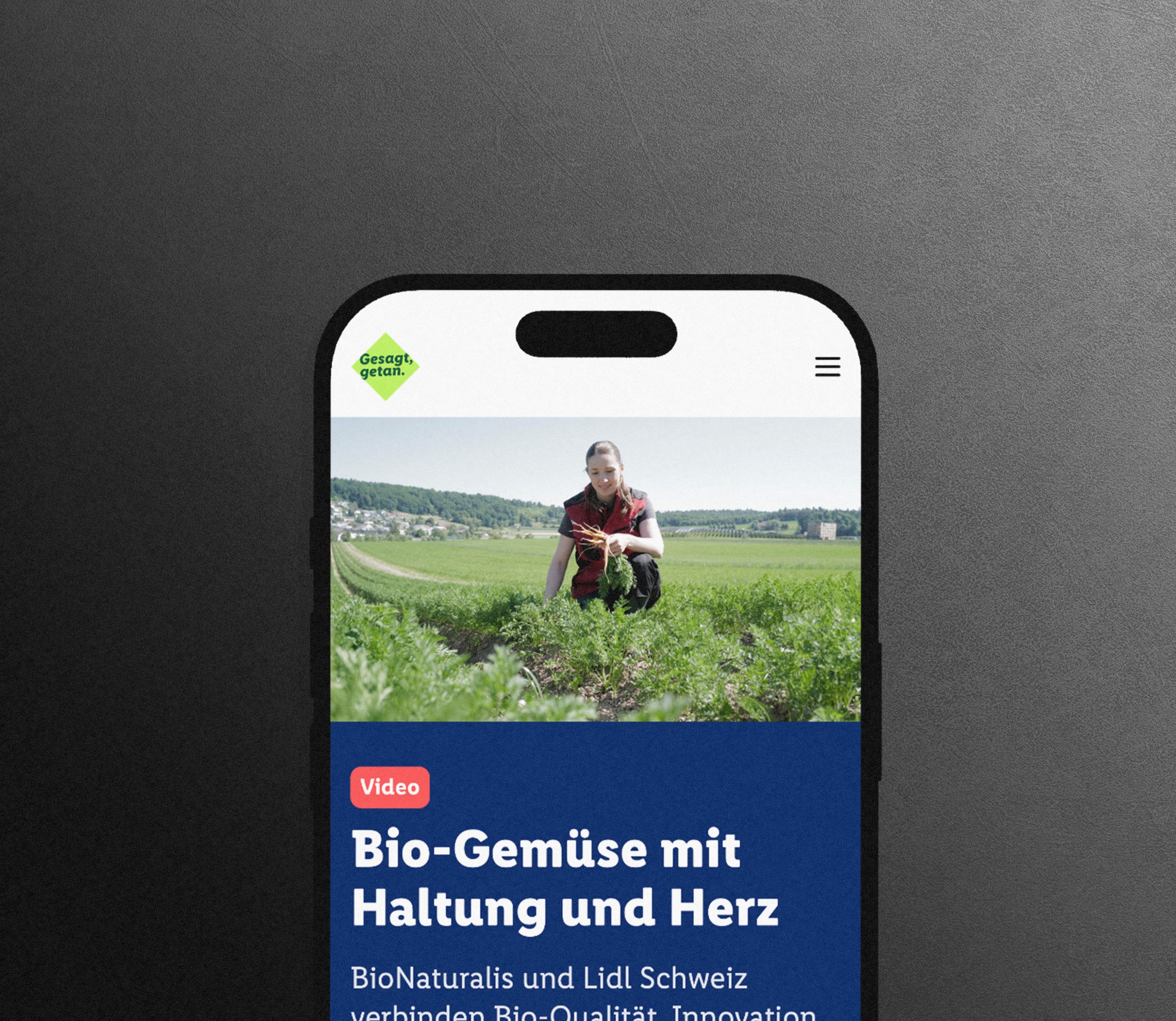 LIDL_Home_Overview_2