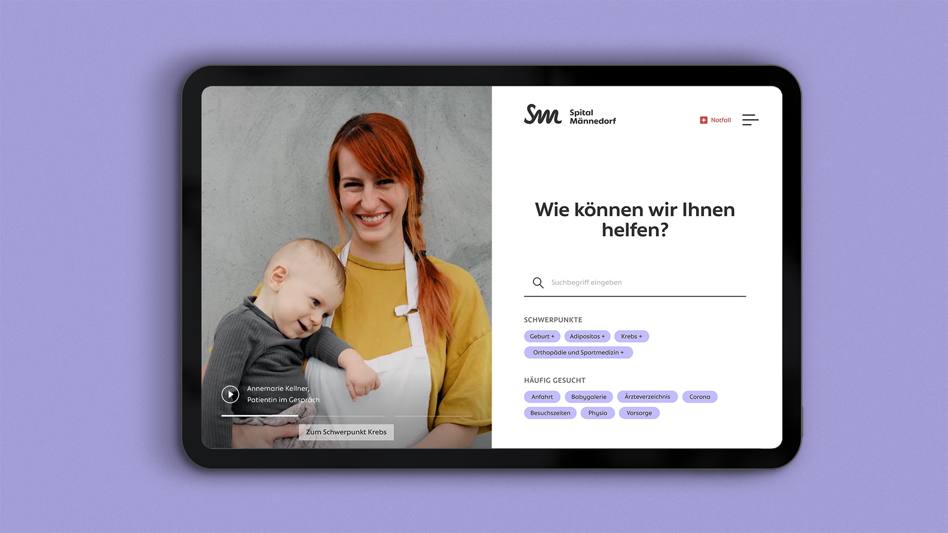 SMAE_case_overview
