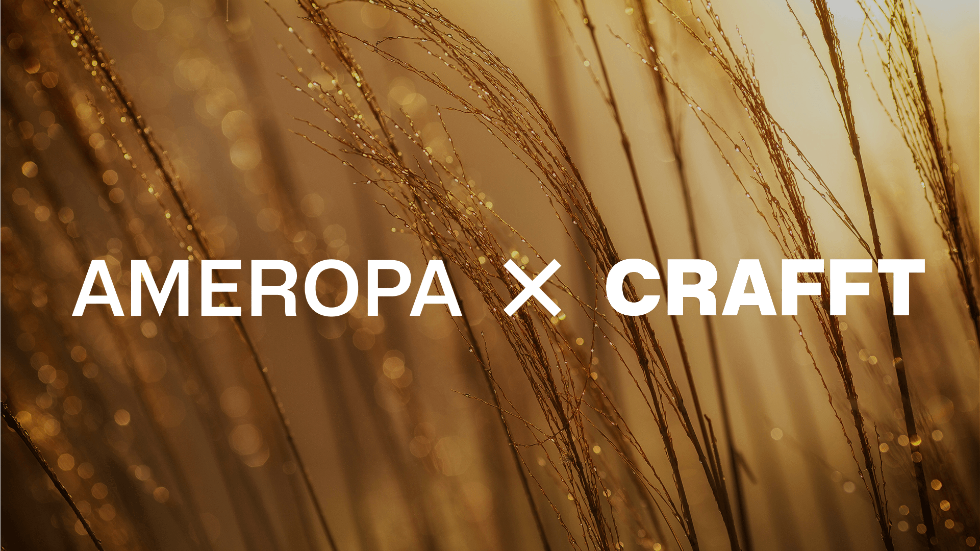 Thumbnail Ameropa x Crafft.